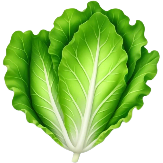 single lettuce leaf on a plate emoji
