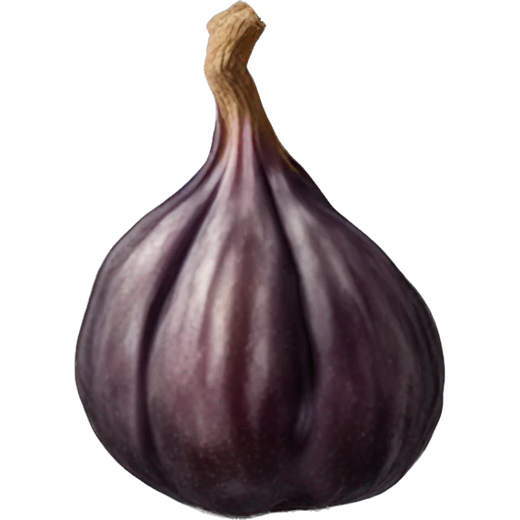 A single dried fig emoji