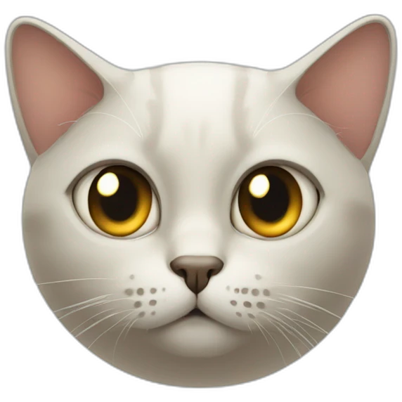 cat staring with suspecting eyes emoji