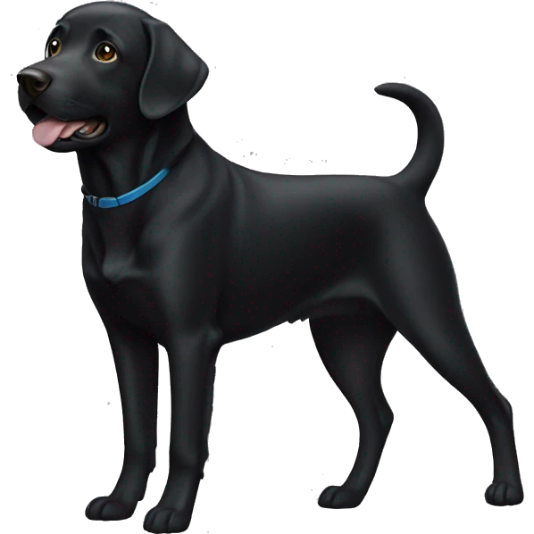 Black labrador dog emoji