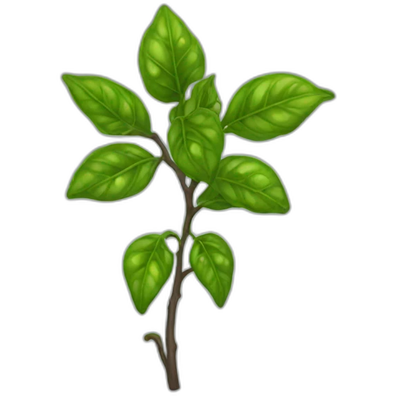 black pepper plant emoji