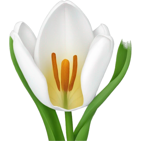 white tulipany emoji
