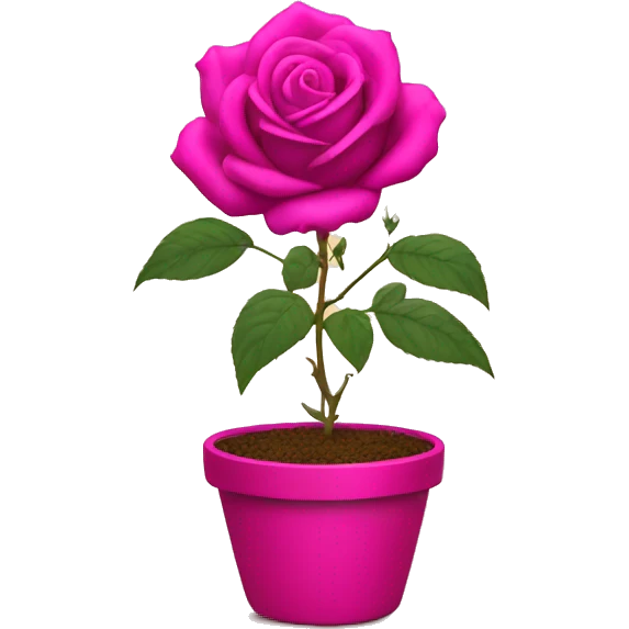 Rose in a fuchsia pot emoji