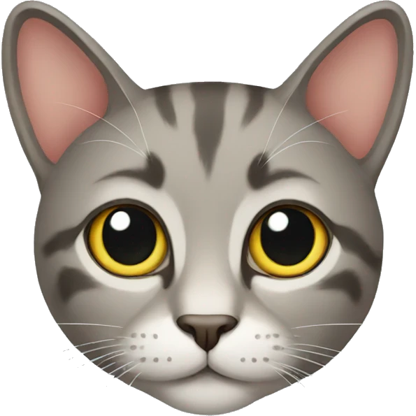 Cat emoji