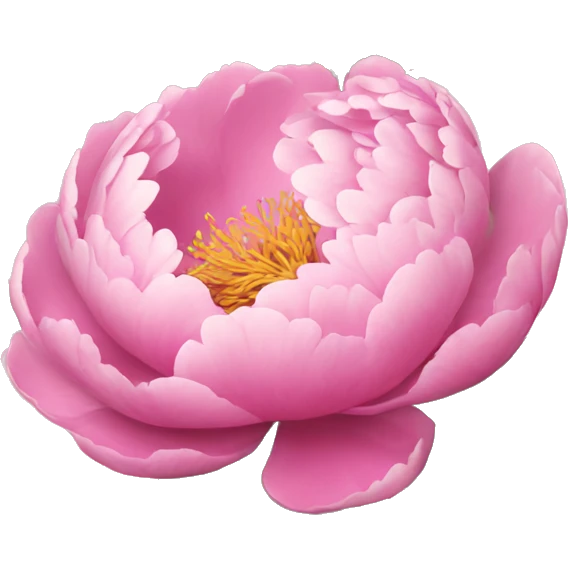 Pink peony  emoji