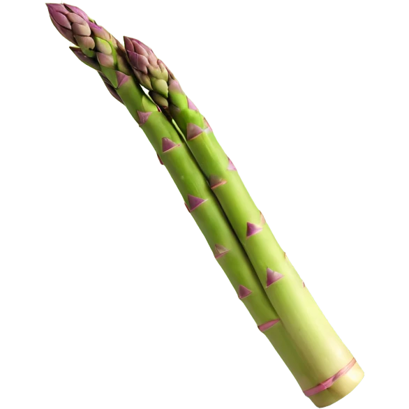 realistic fresh asparagus without eyes, nose, or mouth emoji