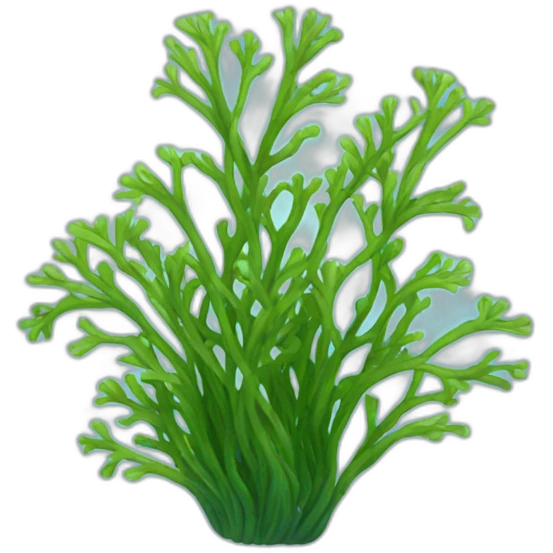seaweed emoji