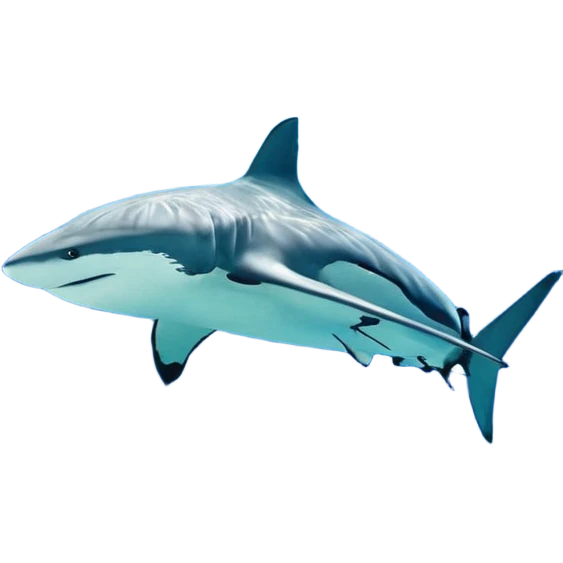 зобрази військове спорядження та обладнання для навчань школярів 🪖 emoji