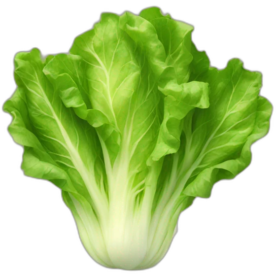 lettuce emoji