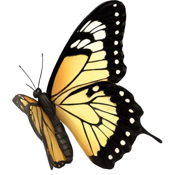 butterfly emoji