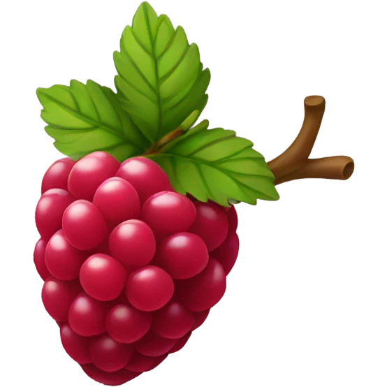 raspberry  emoji