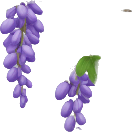 Wysteria vine emoji