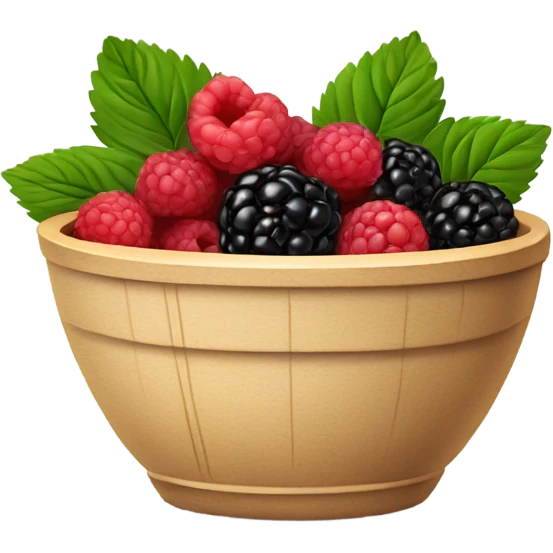 Square bowl of blackberries and raspberries  emoji
