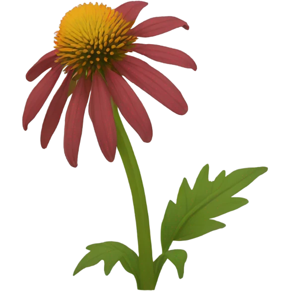 Coneflower  emoji