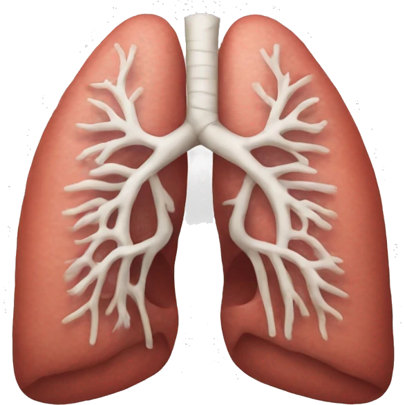 Realistic pair and of lungs  emoji