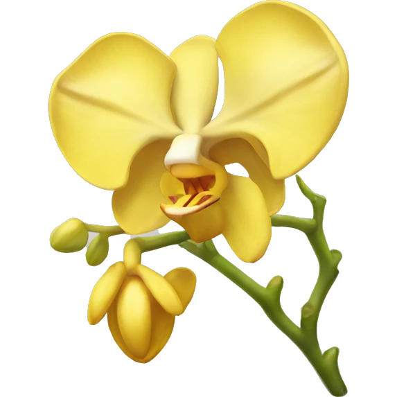 Yellow orchid emoji