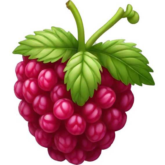 raspberry emoji