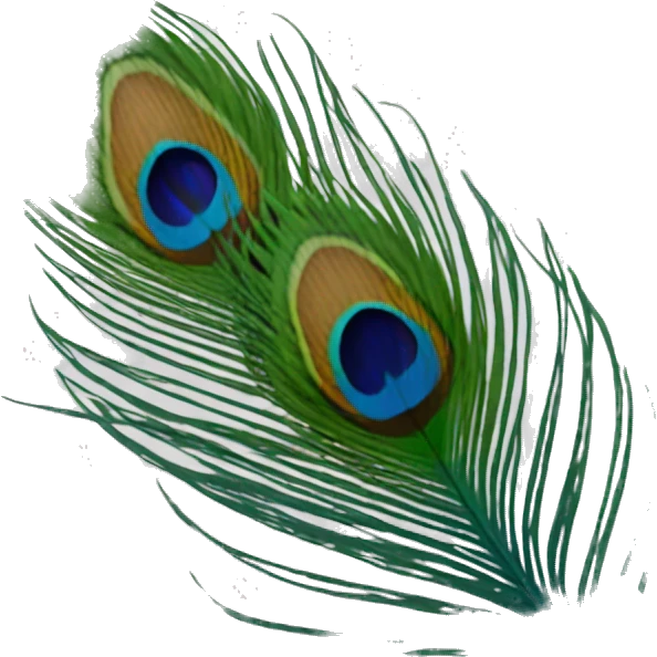 Peacock single feather emoji