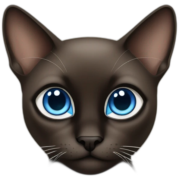 dark brown and black siamese Cat with blue eyes and white chin emoji