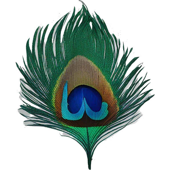 peacock feather emoji