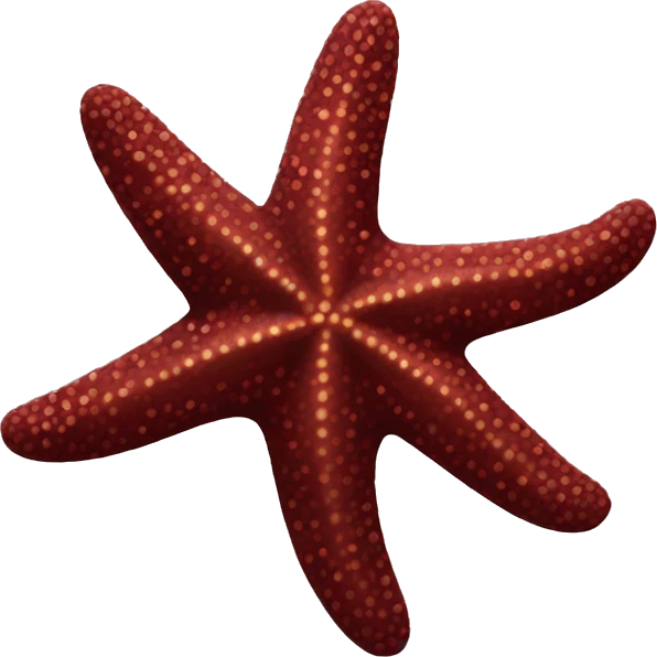Maroon starfish emoji