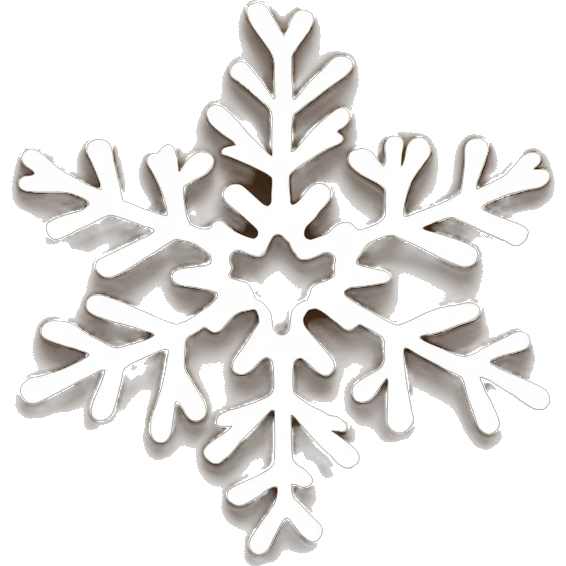 a brown snow flake emoji