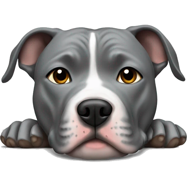 Gray Pitbull laying emoji