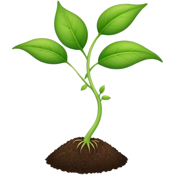 young shoot emerging from its seed emoji