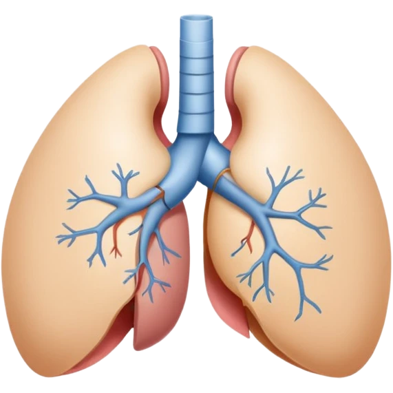 breast anatomy emoji