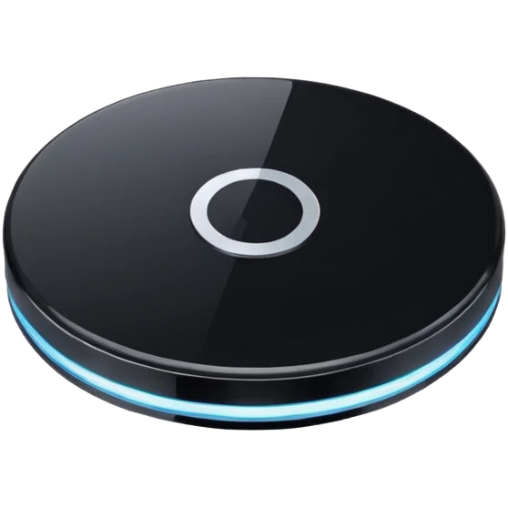 black computer disk emoji