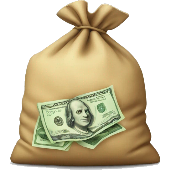 Money in a bag  emoji