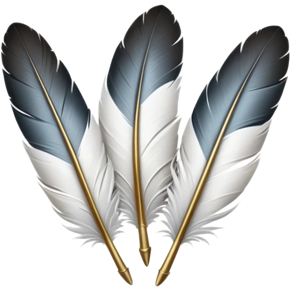 Prends la 1ere image avec les 3 plumes blanches et les stylos et ajoute en dessous le logo de largus emoji