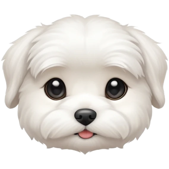 cute white Maltese puppy emoji