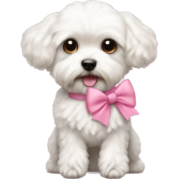 A White maltipoo with long legs pink bow and teddy bear cut  emoji
