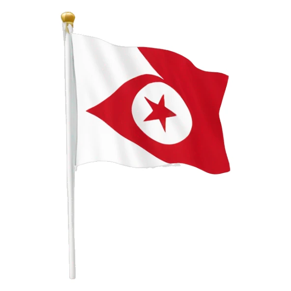 northern cyprus flag sticker