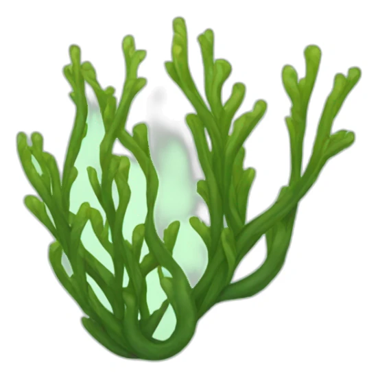 kelp sticker