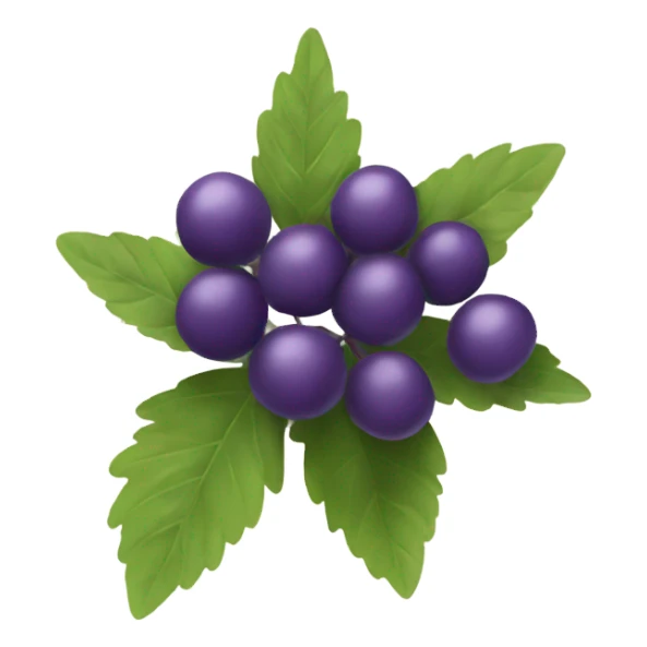 A purple elderberry sticker