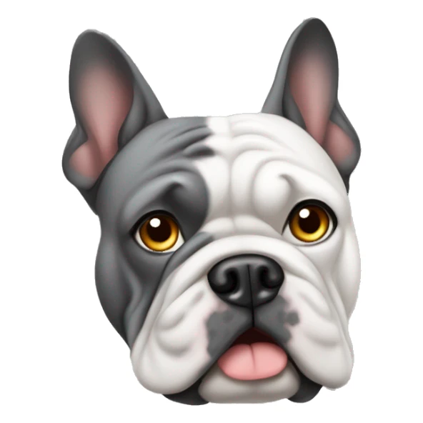 Französische Bulldogge grau sticker