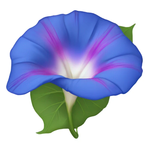 Morning Glory sticker