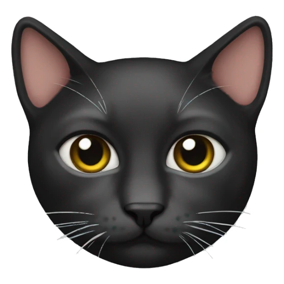 Cat blac sticker