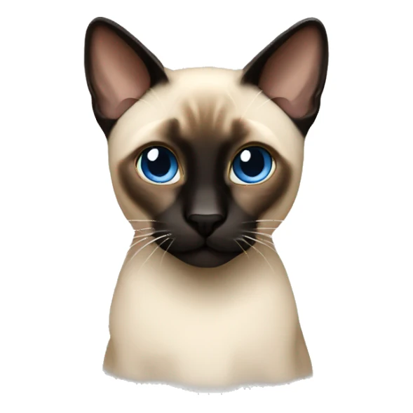 siamese sticker