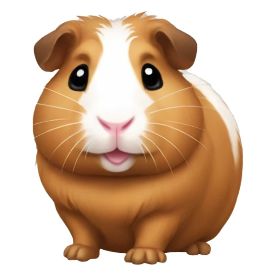 Guineapig cute sticker