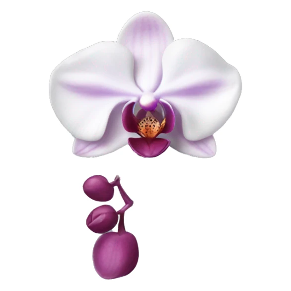 Phalaenopsis Orchid flower sticker