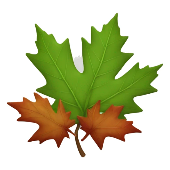 Maple leaves sticker