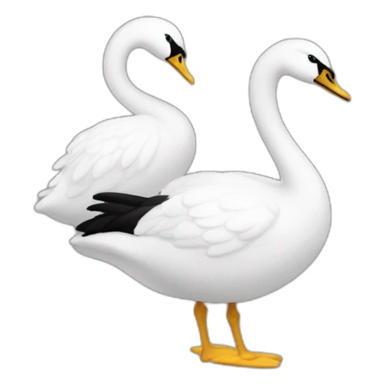 Dos cisnes uno blanco y otro negro sticker