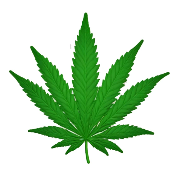 cannabis sativa leaf sticker
