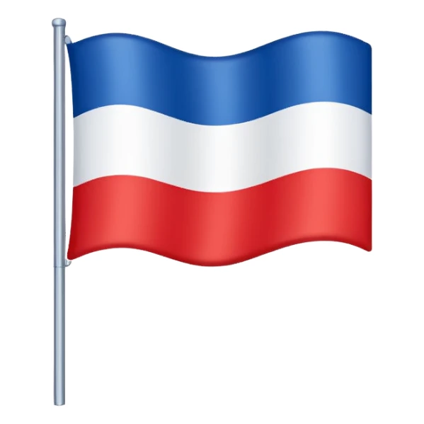 The french flag sticker