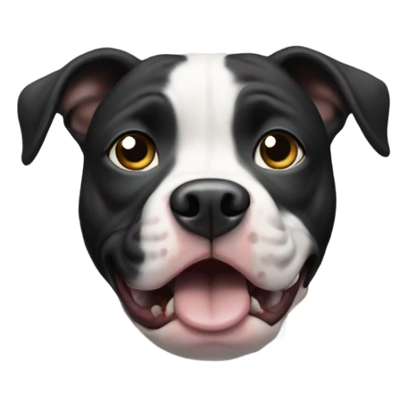 Scared black and whit pit bull  sticker