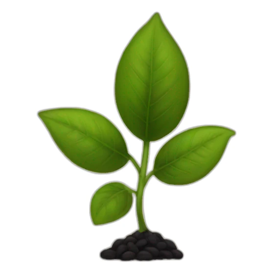 Black seed sticker