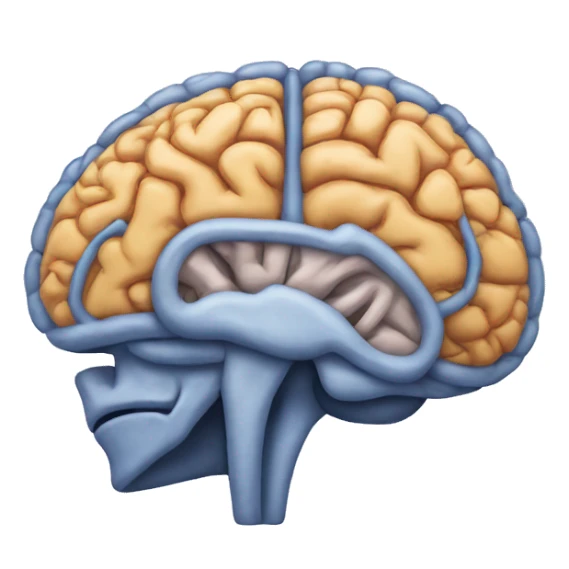 MRI scan brain sticker